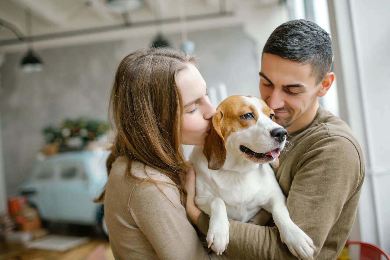 Why get Pet Insurance?