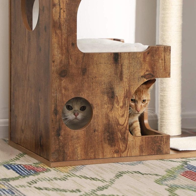 How to Pick the Right Medium Cat Tree