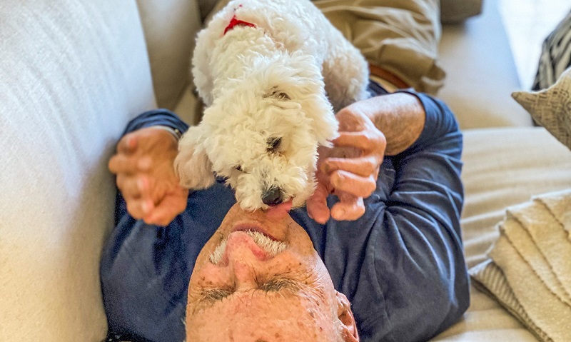 Can Your Dog Help Your Health?