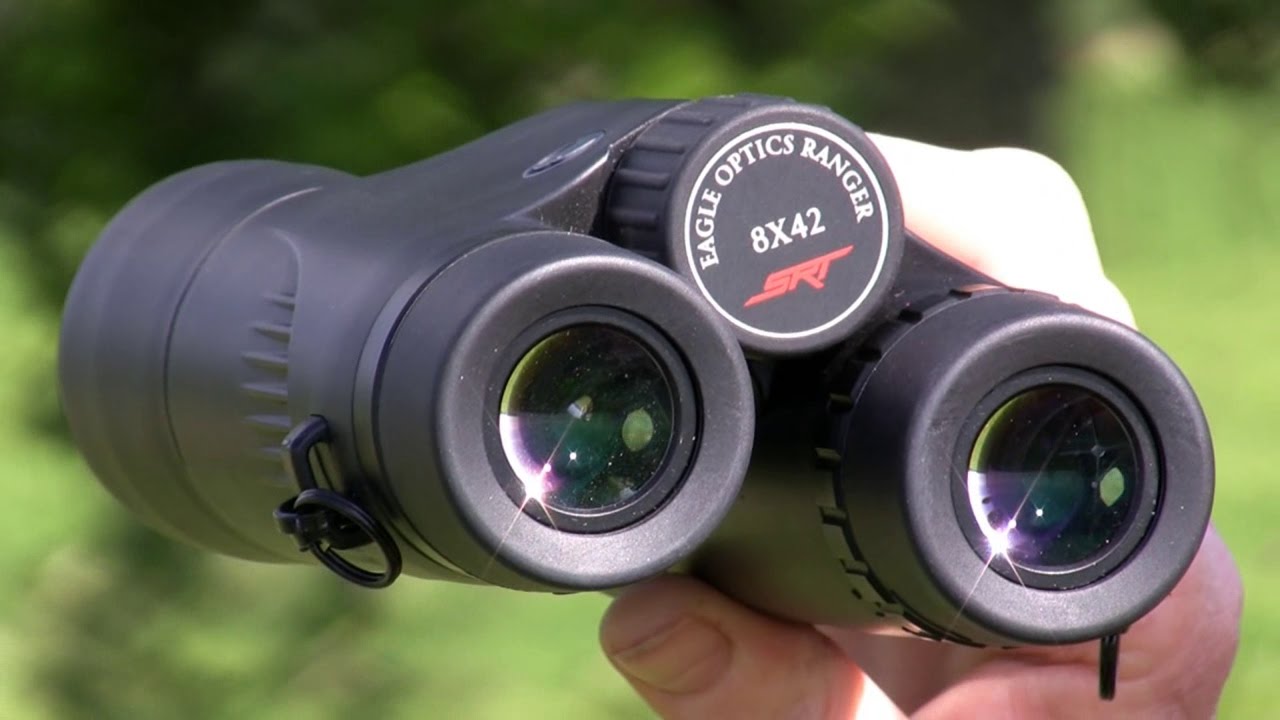 Choosing Which Binocular is Best For Bird Watching?