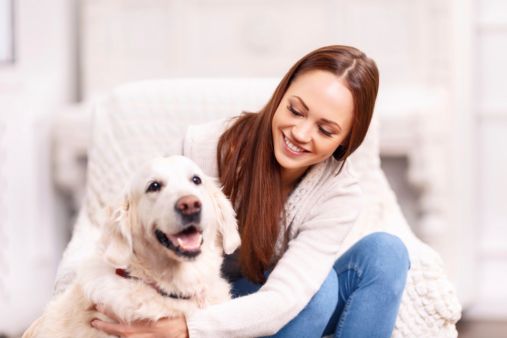 What Are The Mobile Dog Grooming Services For Pets?