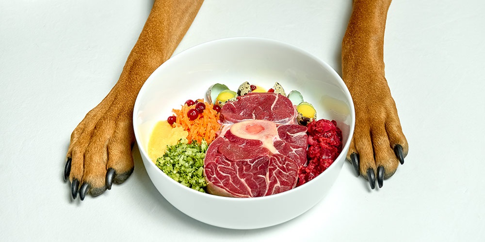 Some of the Best Food Items That Can Be Given to Dogs & Some to Avoid