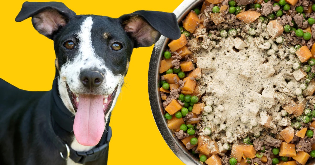 Choosing the Perfect Portion: A Guide to Sweet Potato Treats for Your Dog